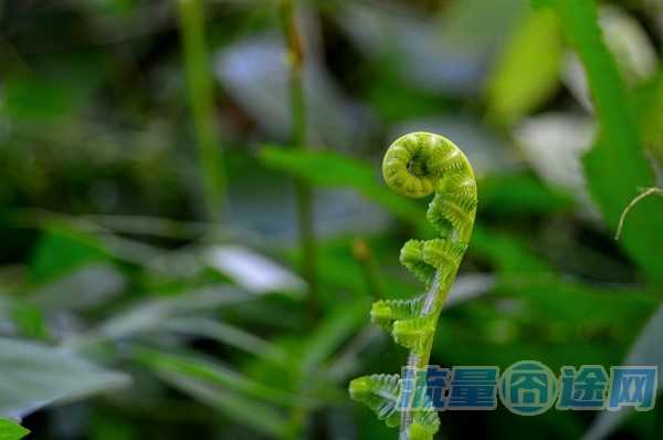 校园卡自动提示流量（为什么校园卡的流量那么卡）